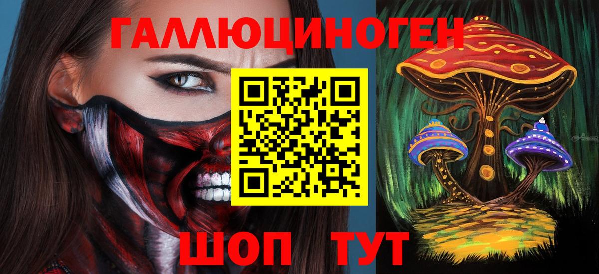 Псилоцибиновые грибы Cubensis Шелехов
