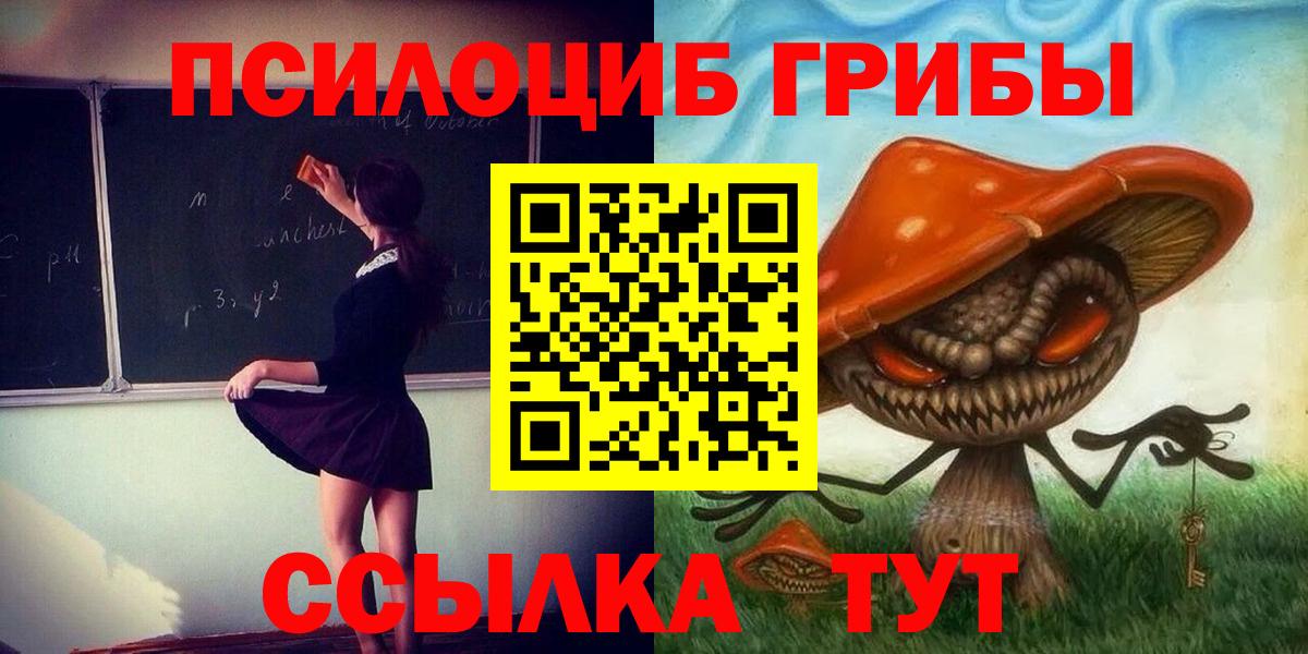 Шелехов  Псилоцибиновые грибы прущие грибы  магазин  наркотиков  Вход с VPN  Псилоцибиновые грибы мицелий 